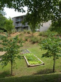 Garden-next-to-student-apartments