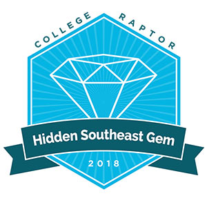 Hidden Gems Web Badge